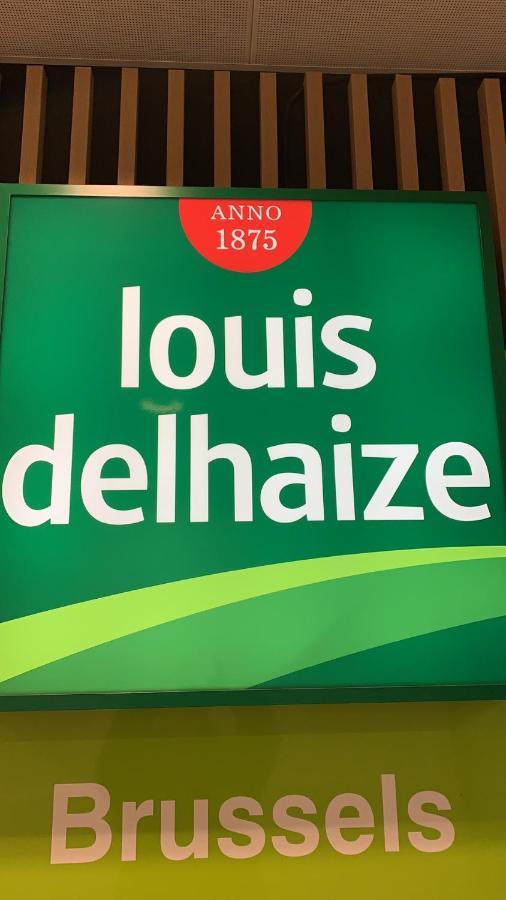 Panda Bella Apartman Zaventem Kültér fotó